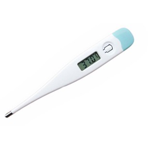 Medical Digital Thermometer price in Pakistan
