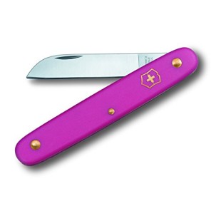 VICTORINOX flower knife straight blade 100 mm pink 7611160026491 price in Pakistan