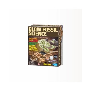 Glow Fossil Science price in Pakistan