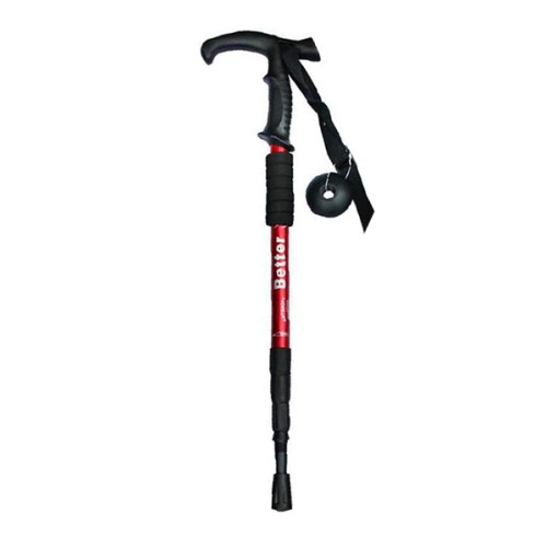 mountain hiking stick